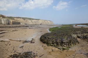 christina robin hoods bay 25 sm.jpg